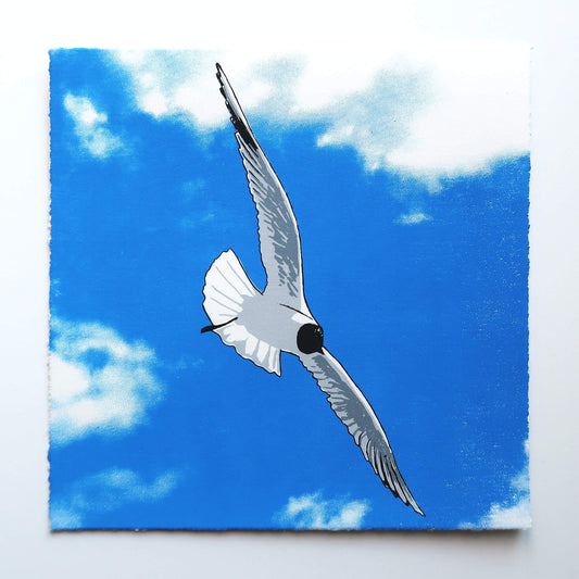 Flying gull by Fiona Hamilton featuring a seagull on a sky with clouds.