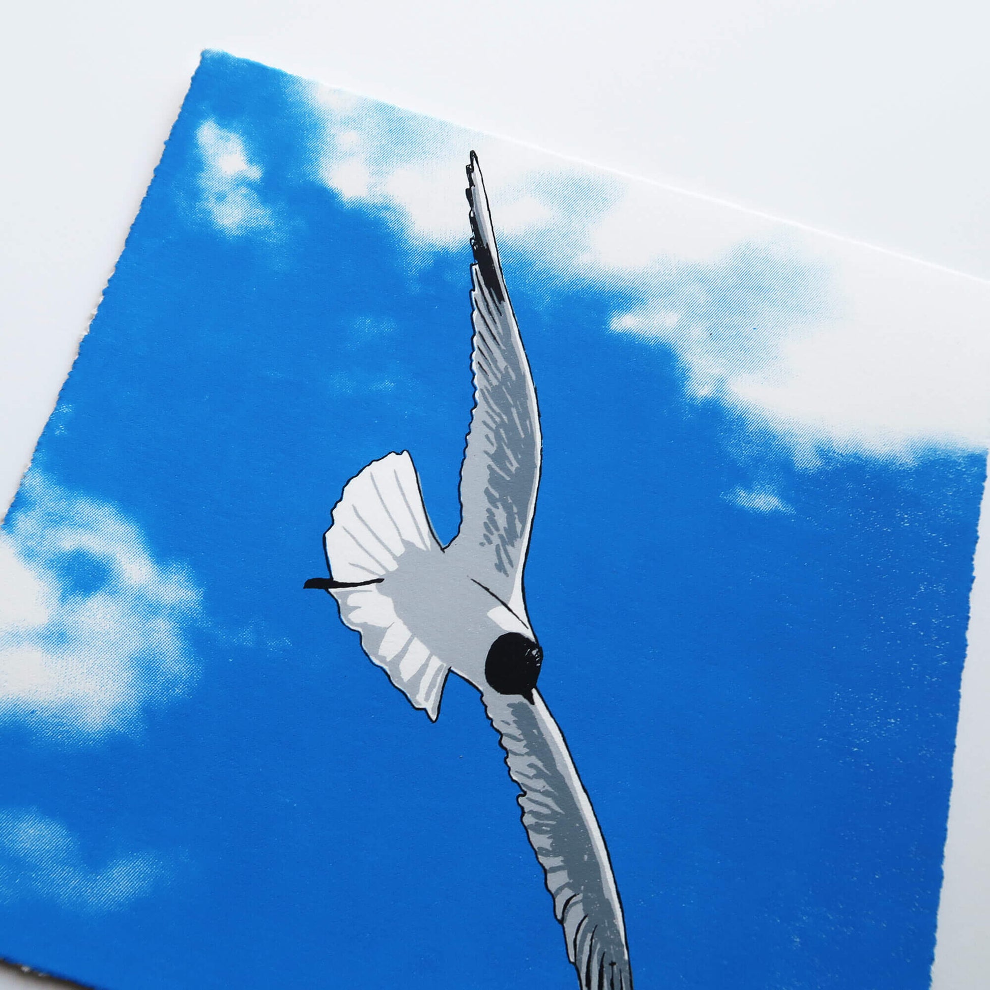 Flying gull by Fiona Hamilton featuring a seagull on a sky with clouds.