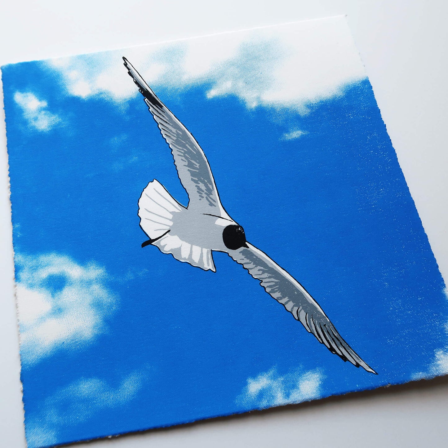 Flying gull by Fiona Hamilton featuring a seagull on a sky with clouds.