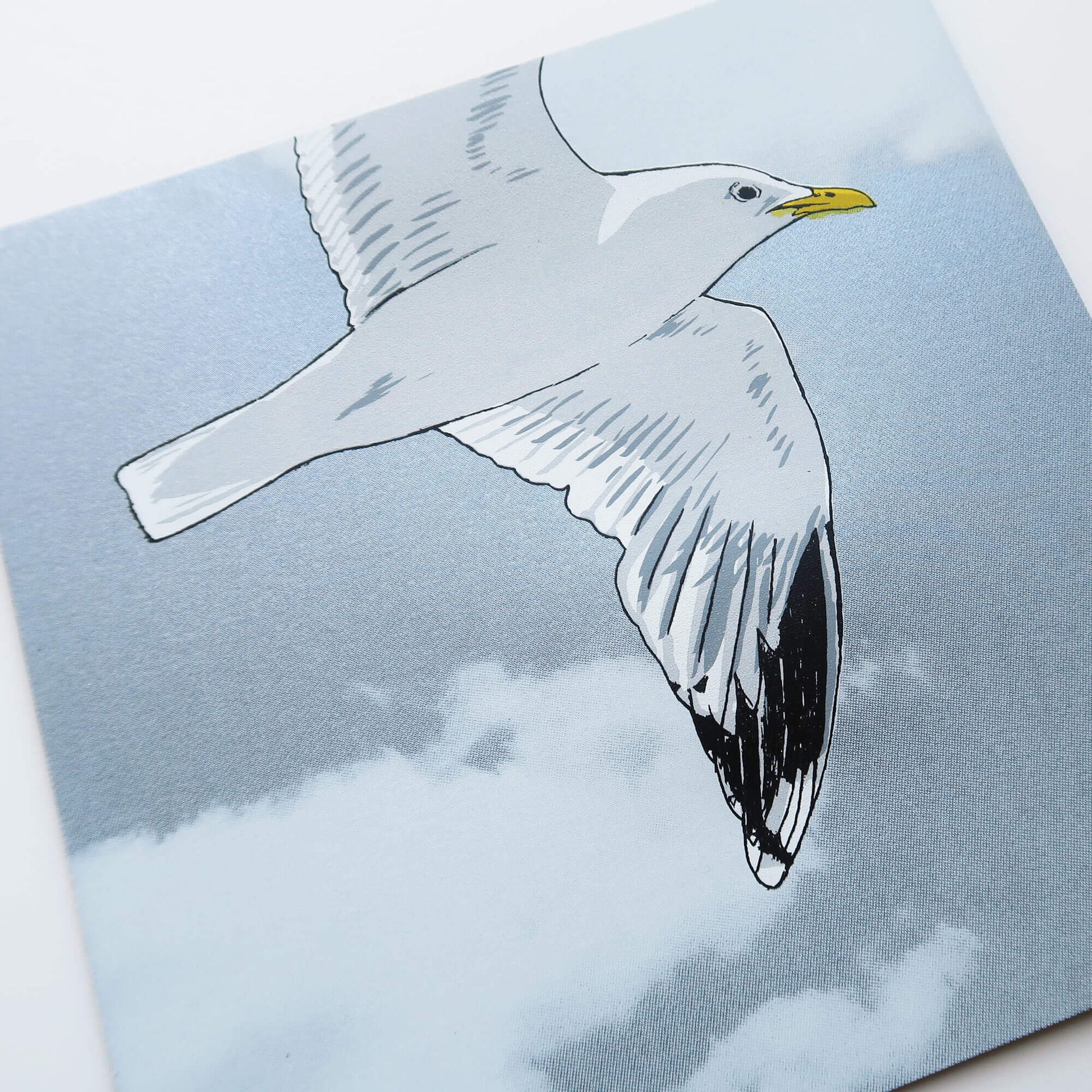 Flying gull by Fiona Hamilton featuring a seagull on a sky with clouds.