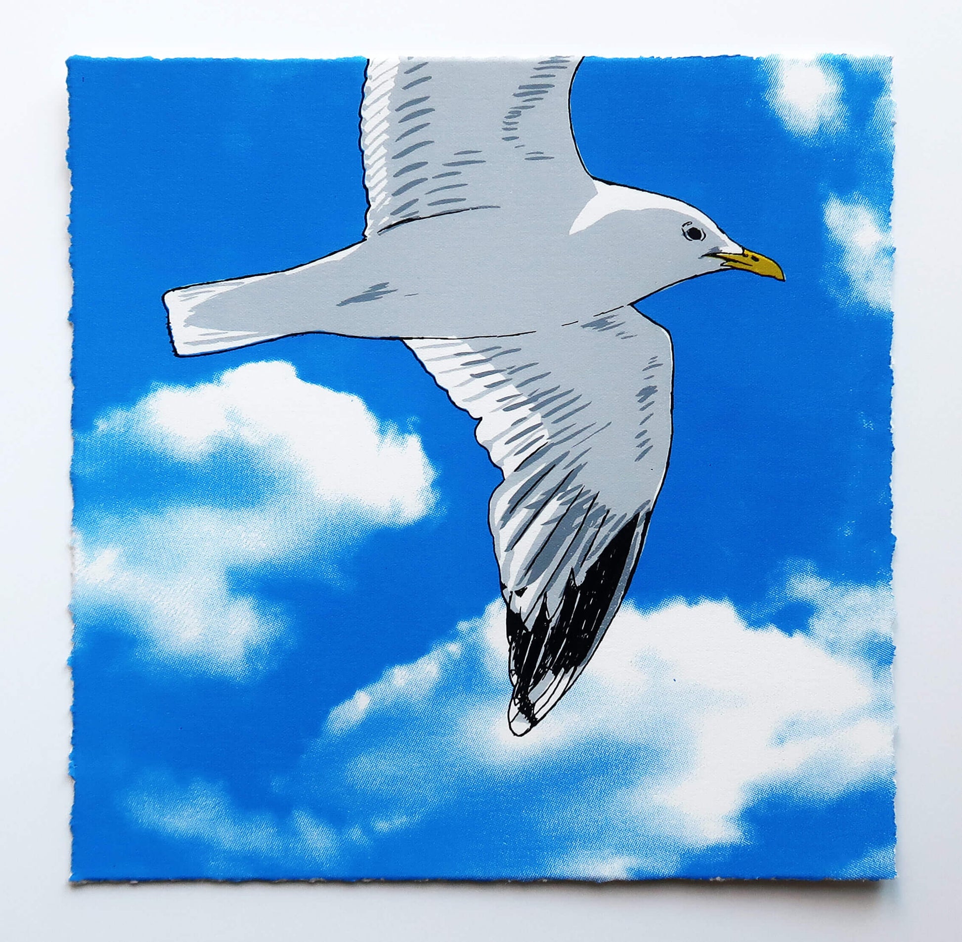 Flying gull by Fiona Hamilton featuring a seagull on a sky with clouds.