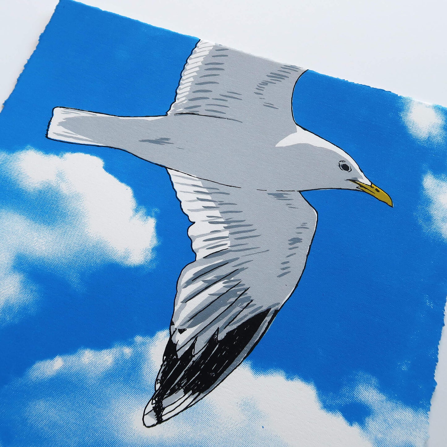 Flying gull by Fiona Hamilton featuring a seagull on a sky with clouds.