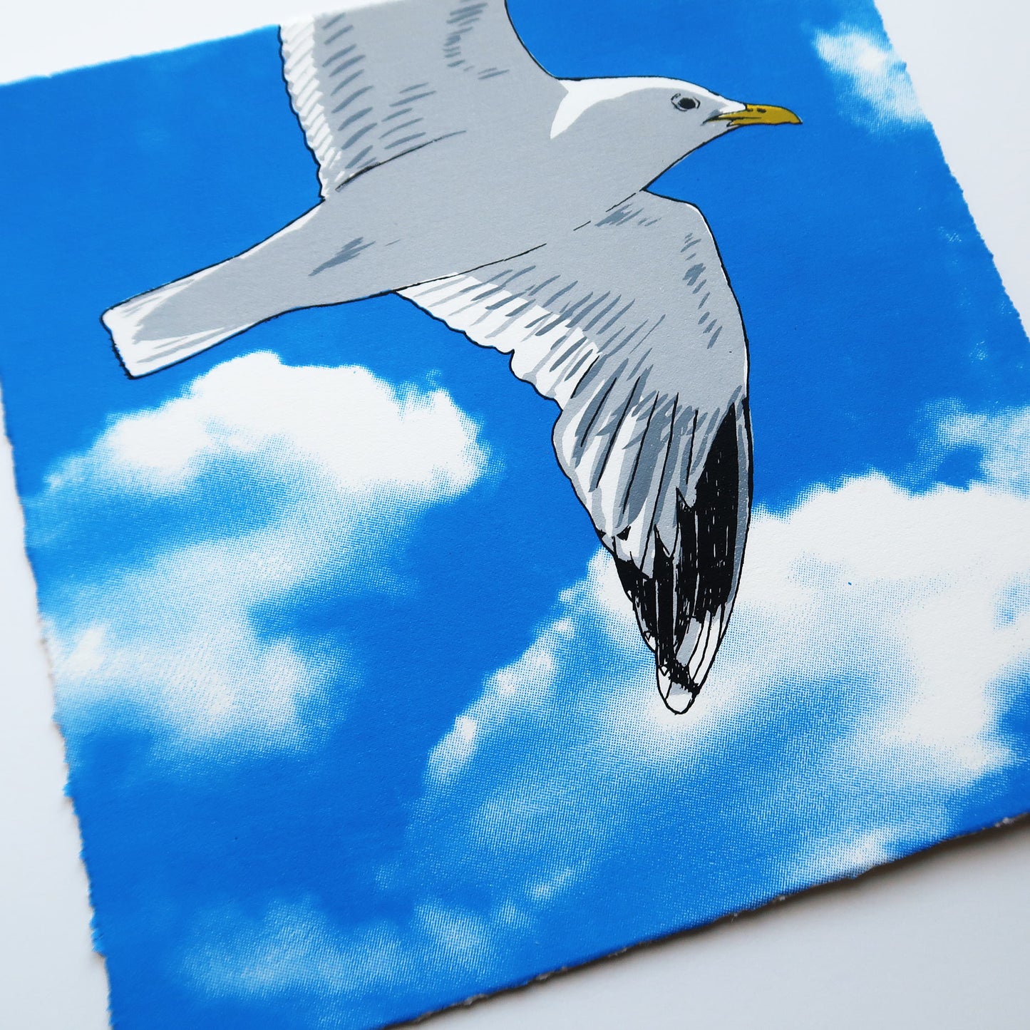 Flying Gull V Blue Print