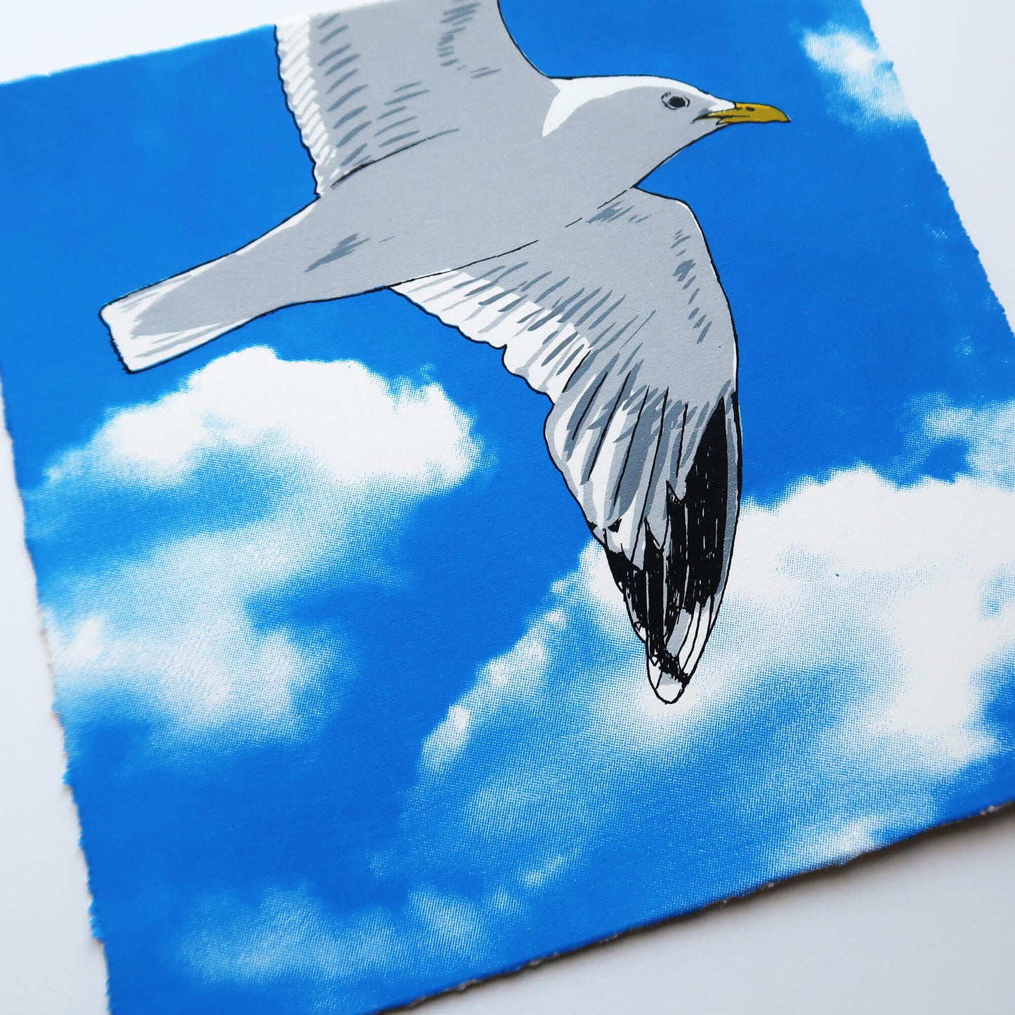Flying gull by Fiona Hamilton featuring a seagull on a sky with clouds.