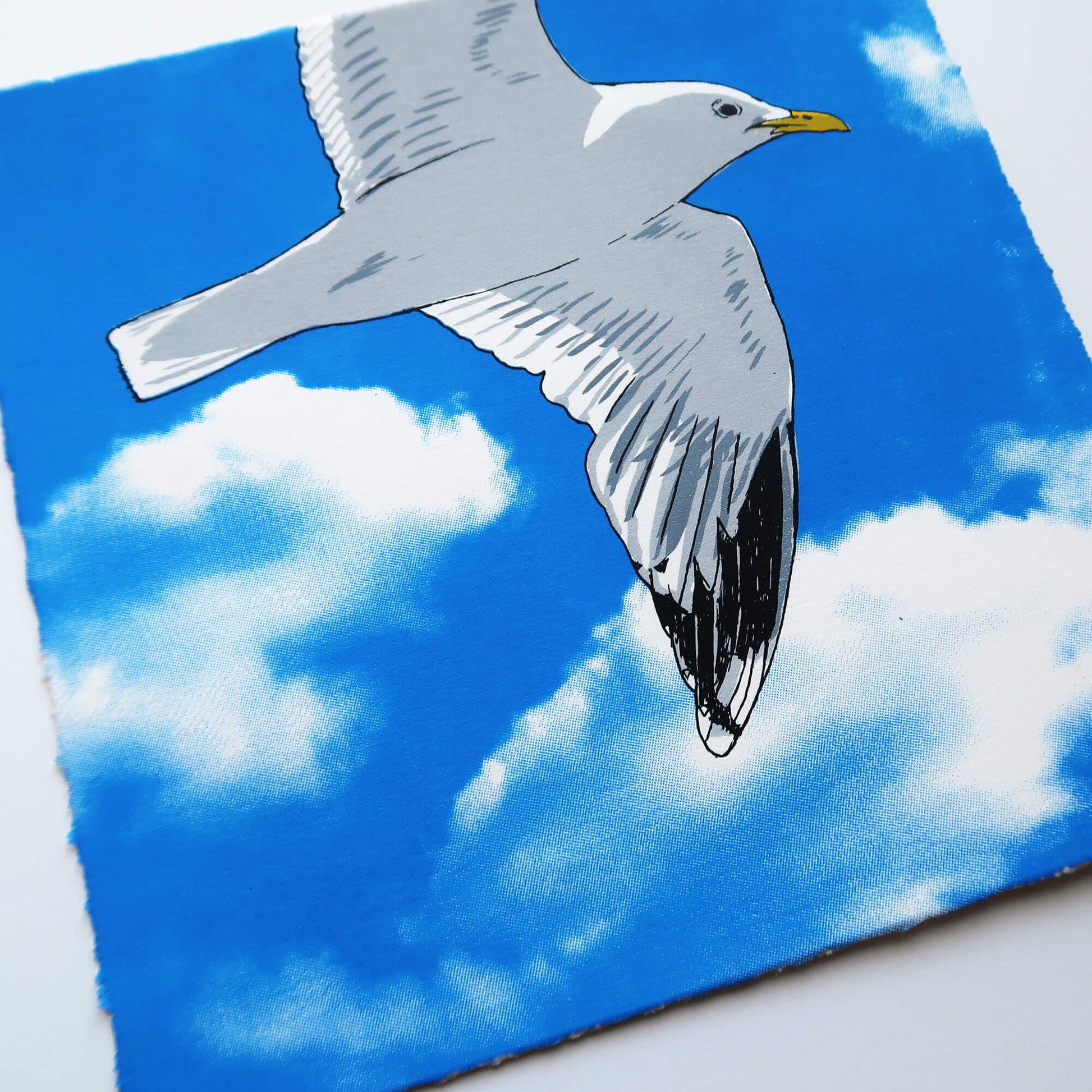Flying gull by Fiona Hamilton featuring a seagull on a sky with clouds.