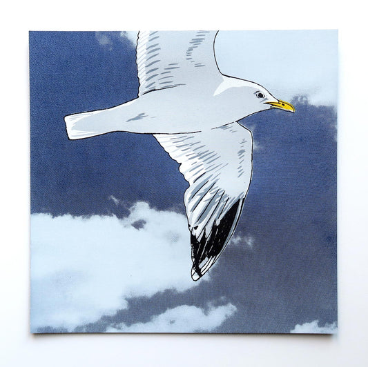 Flying gull by Fiona Hamilton featuring a seagull on a sky with clouds.