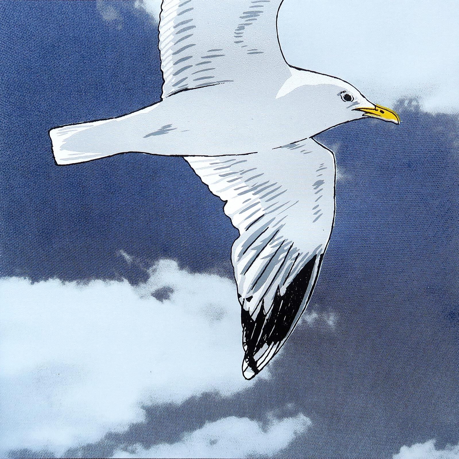 Flying gull by Fiona Hamilton featuring a seagull on a sky with clouds.