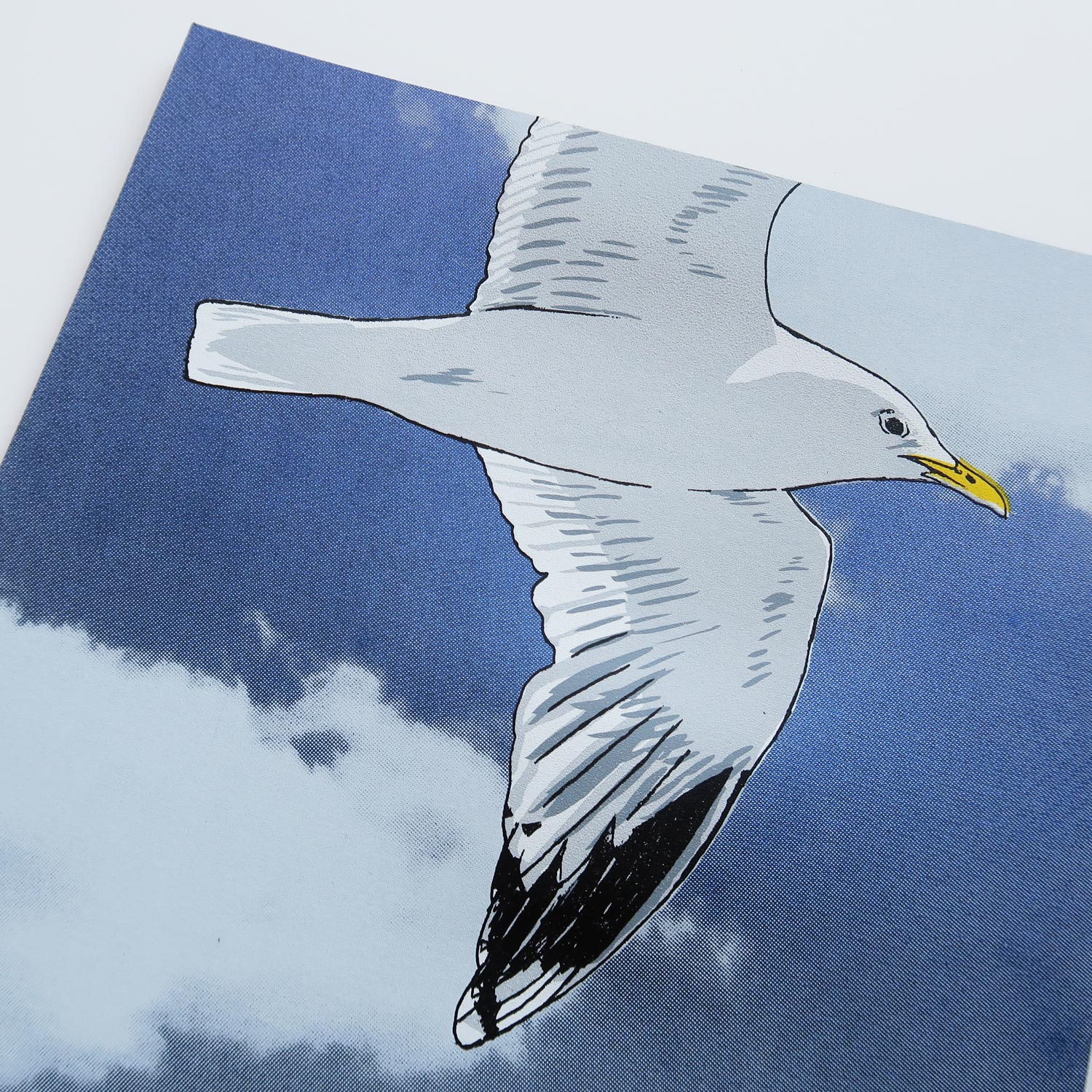 Flying gull by Fiona Hamilton featuring a seagull on a sky with clouds.