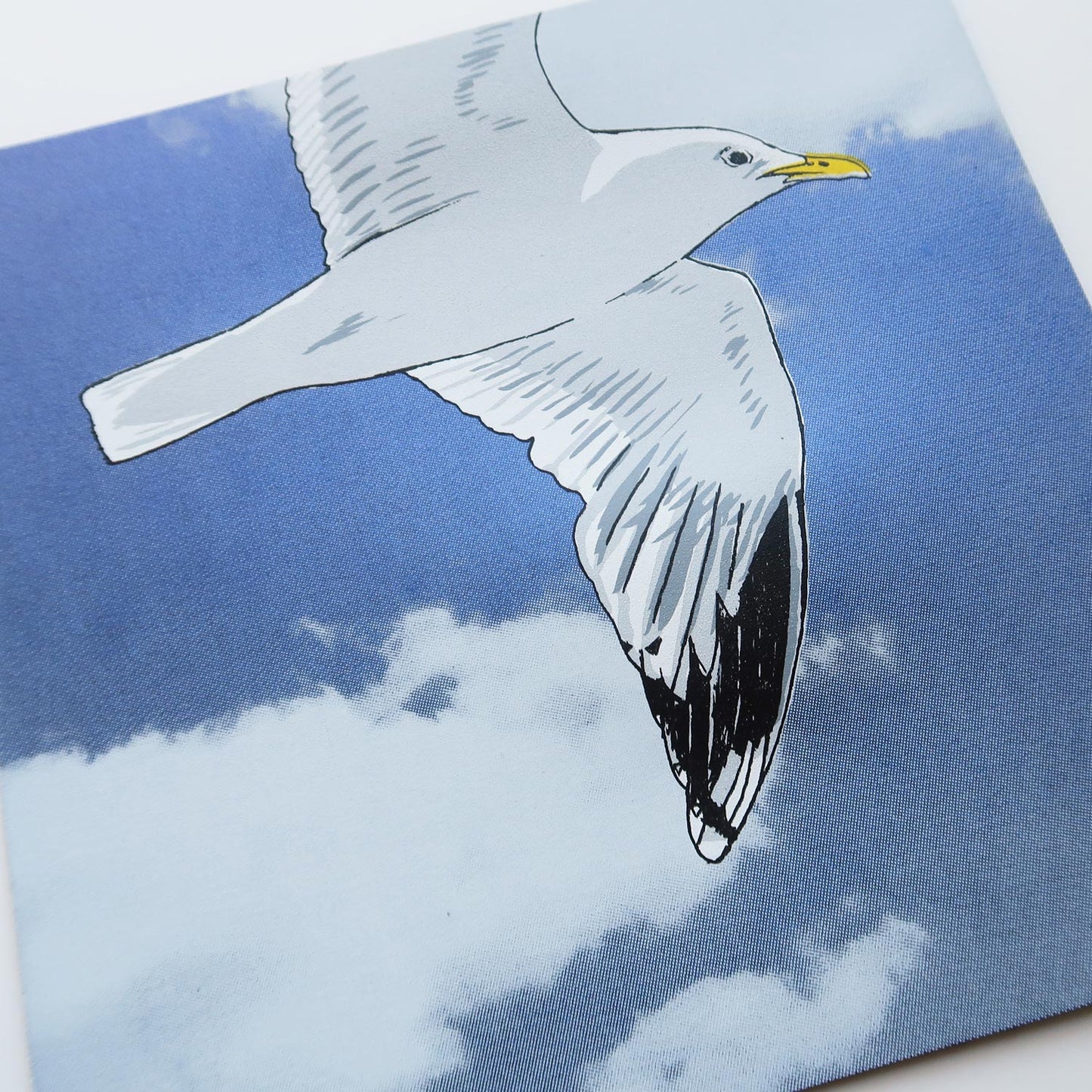 Flying gull by Fiona Hamilton featuring a seagull on a sky with clouds.