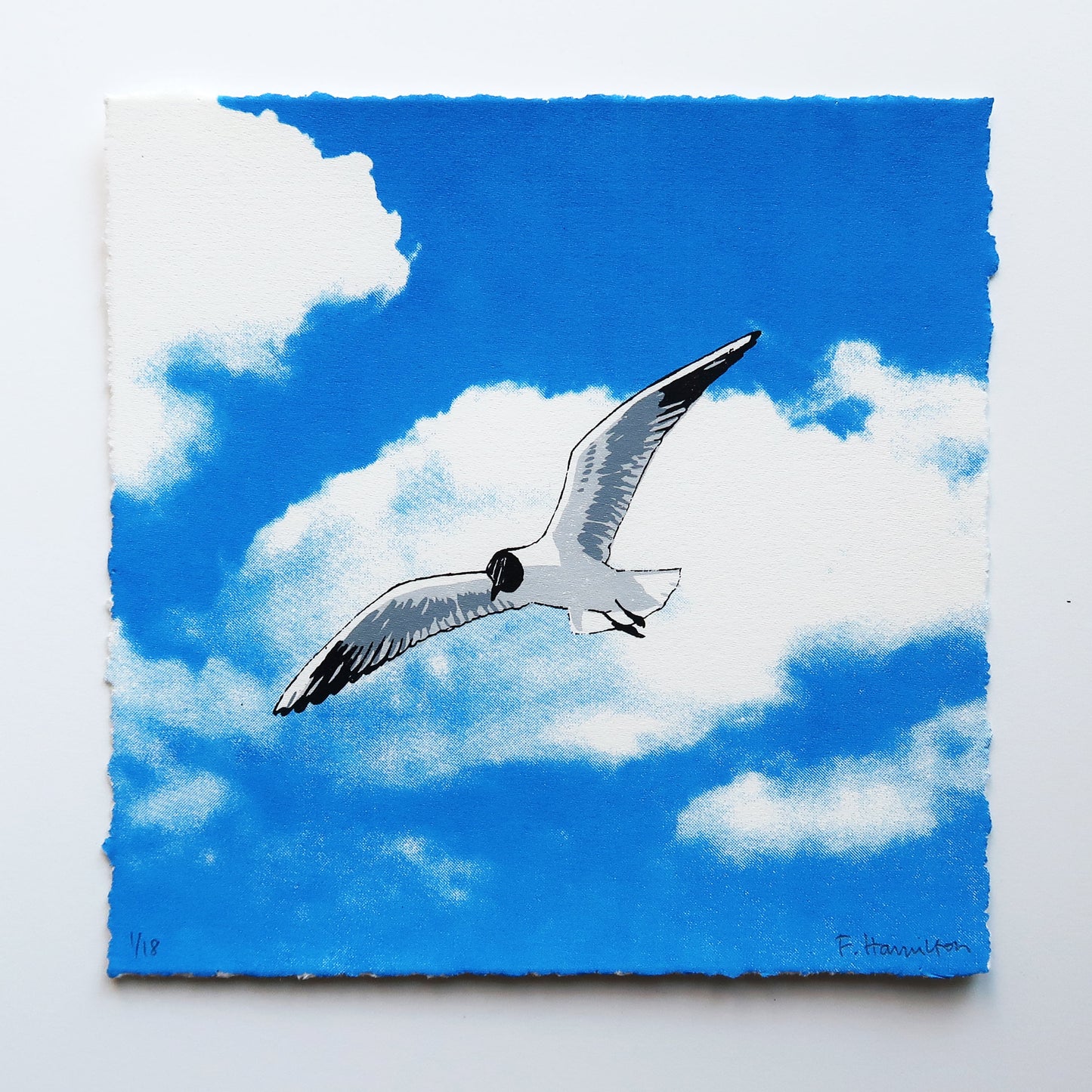 Flying Gull II Print