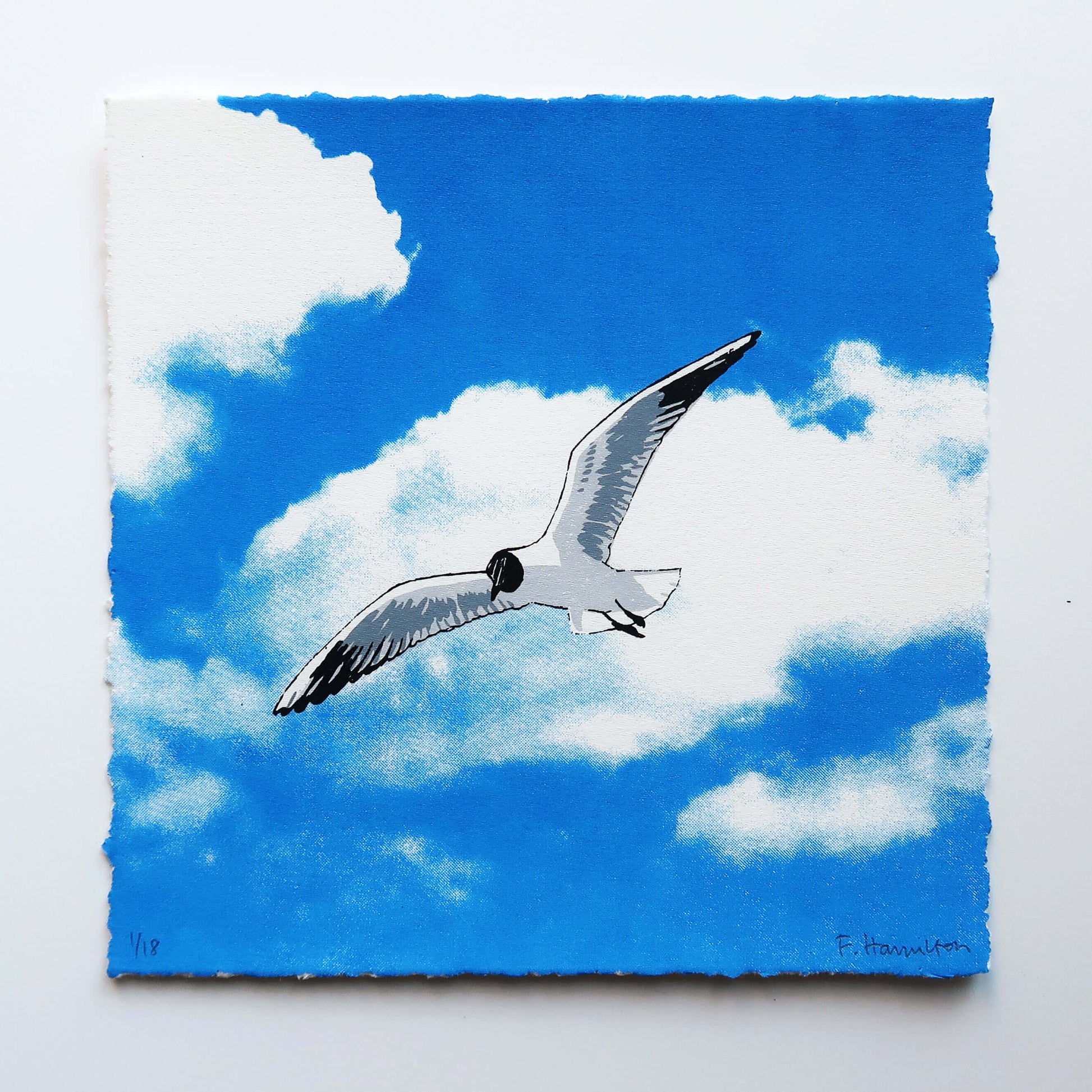 Flying gull by Fiona Hamilton featuring a seagull on a sky with clouds.