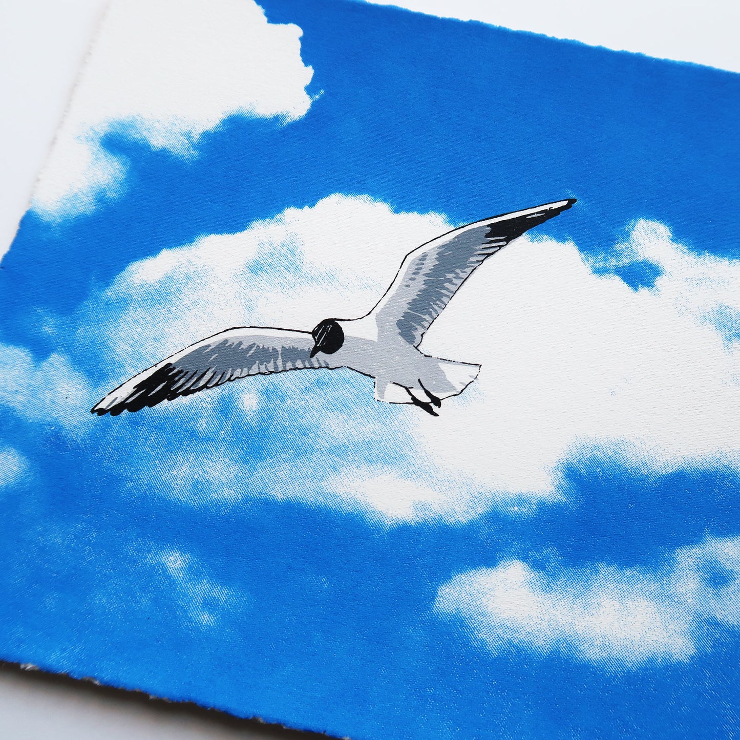 Flying Gull II Print