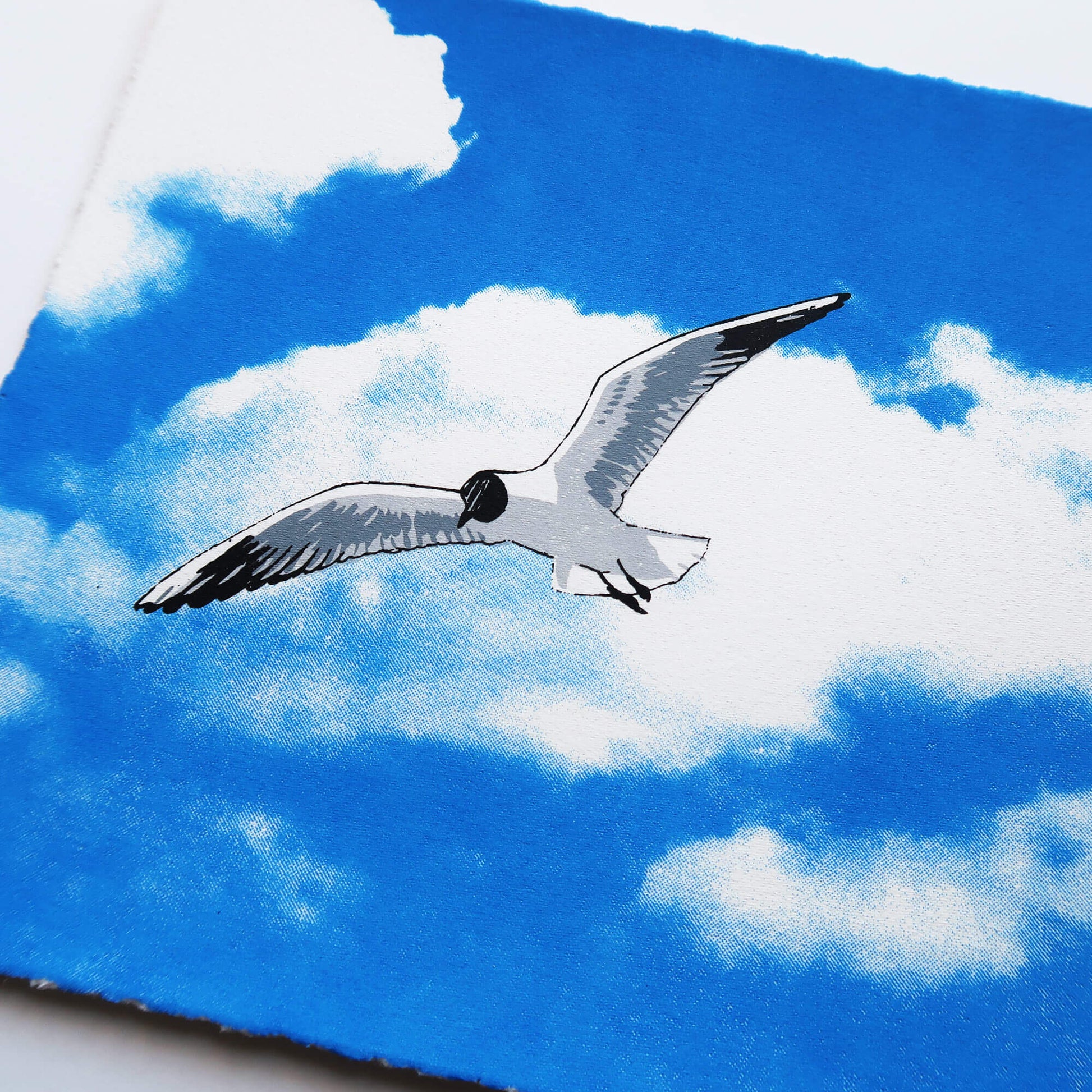 Flying gull by Fiona Hamilton featuring a seagull on a sky with clouds.