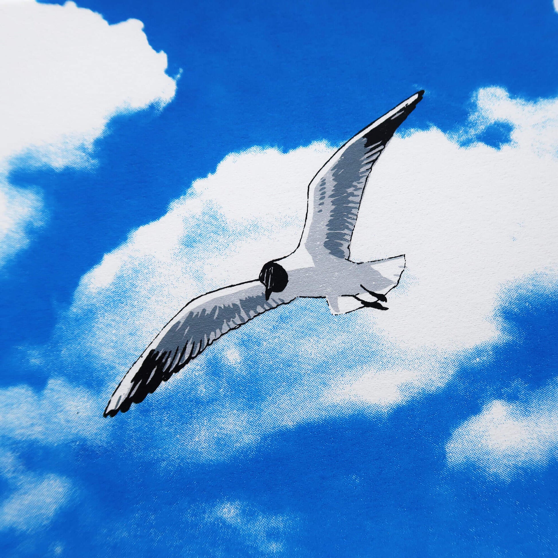 Flying gull by Fiona Hamilton featuring a seagull on a sky with clouds.