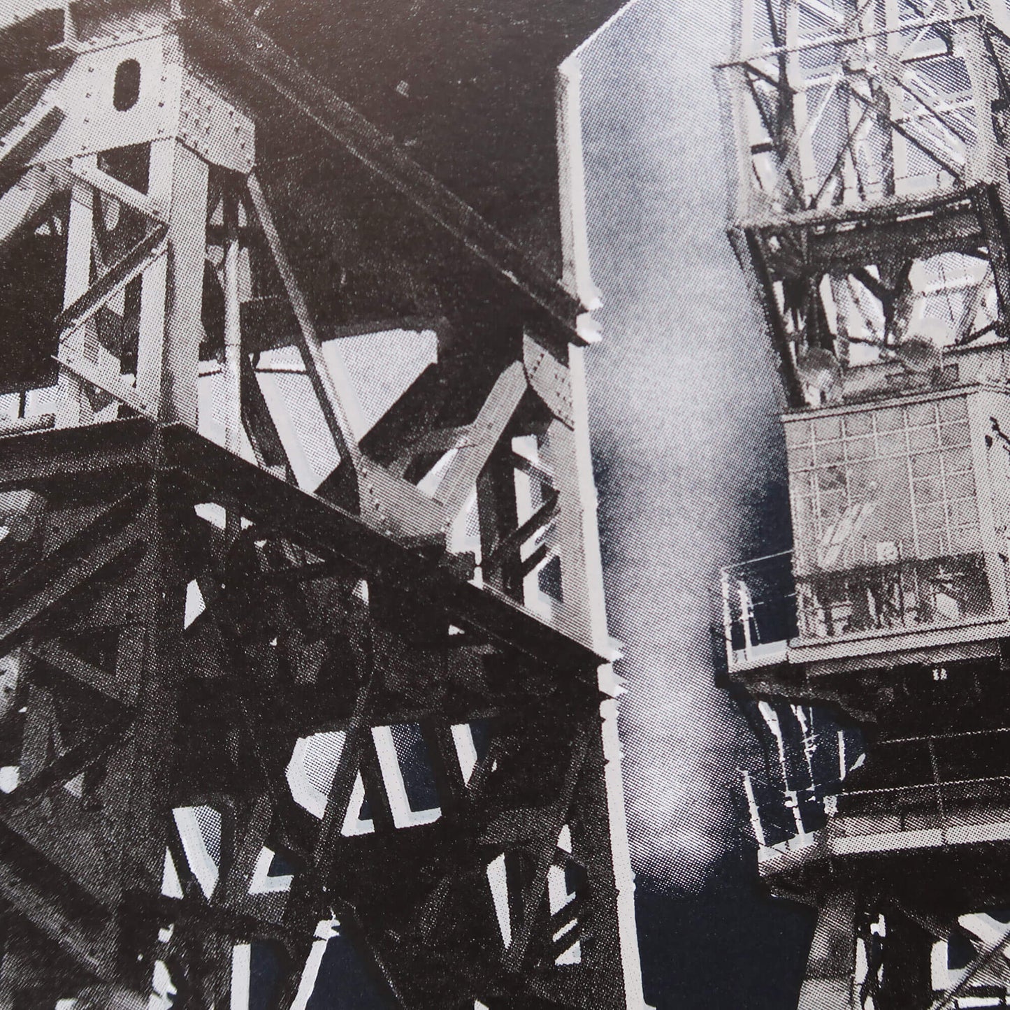 Gulls and goods cranes silkscreen print by Fiona Hamilton.