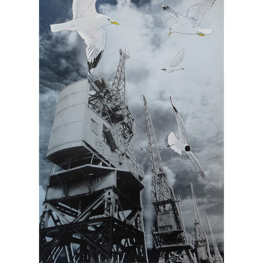 Gulls and goods cranes silkscreen print by Fiona Hamilton.