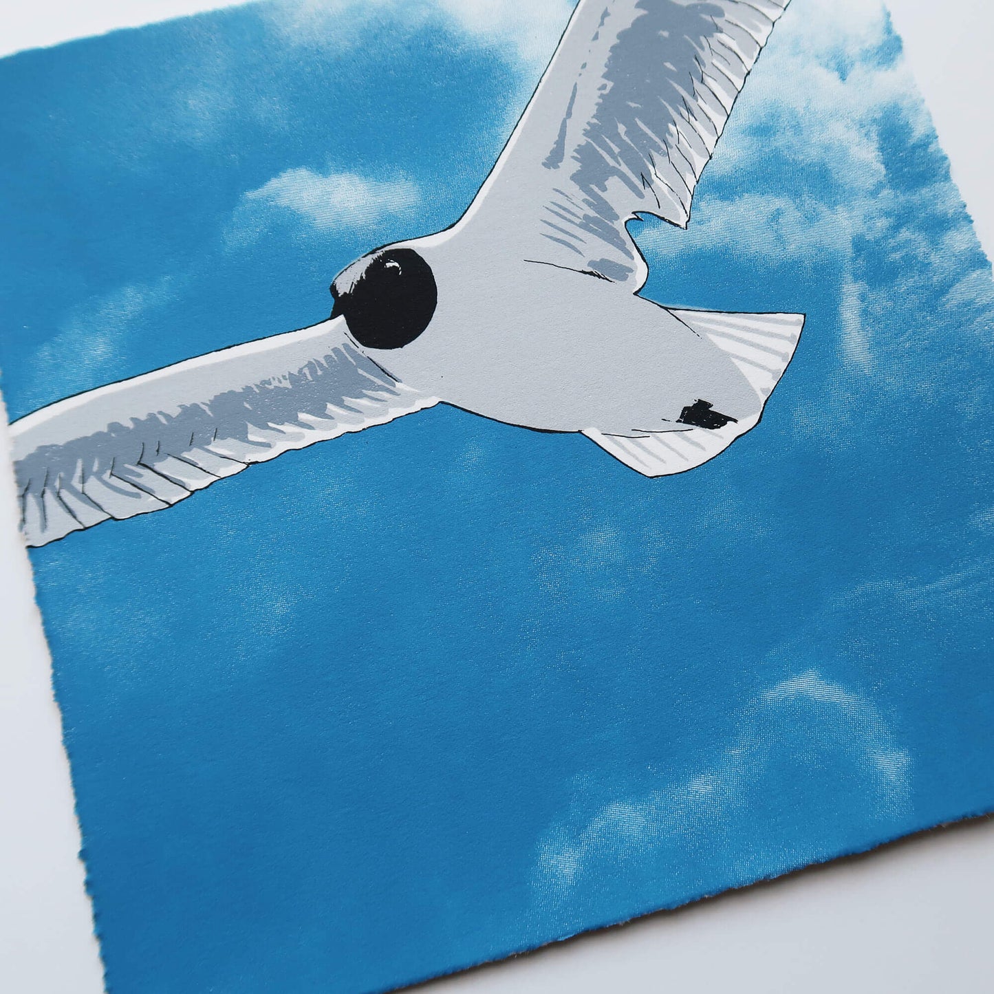 Flying gull by Fiona Hamilton featuring a seagull on a sky with clouds.