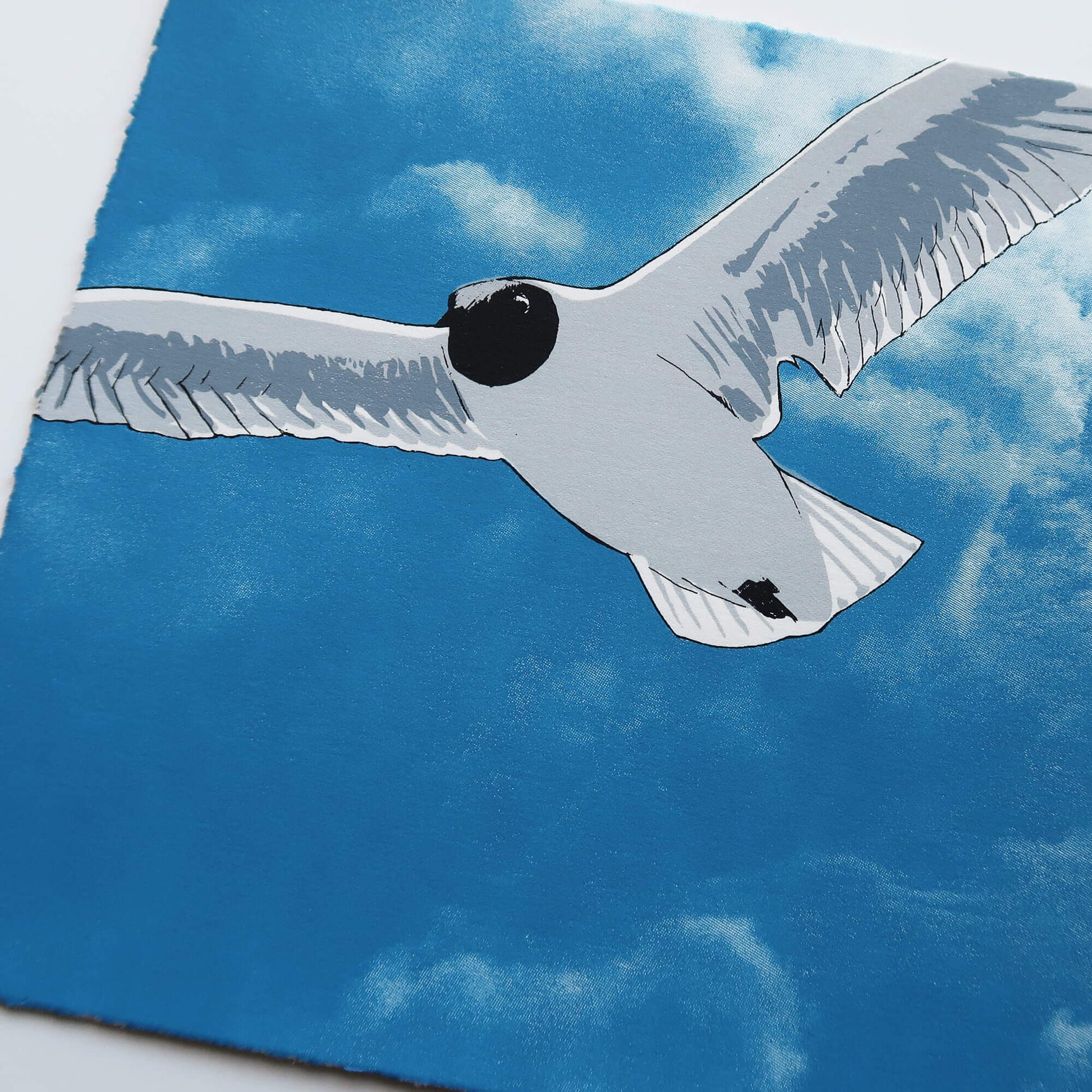 Flying gull by Fiona Hamilton featuring a seagull on a sky with clouds.