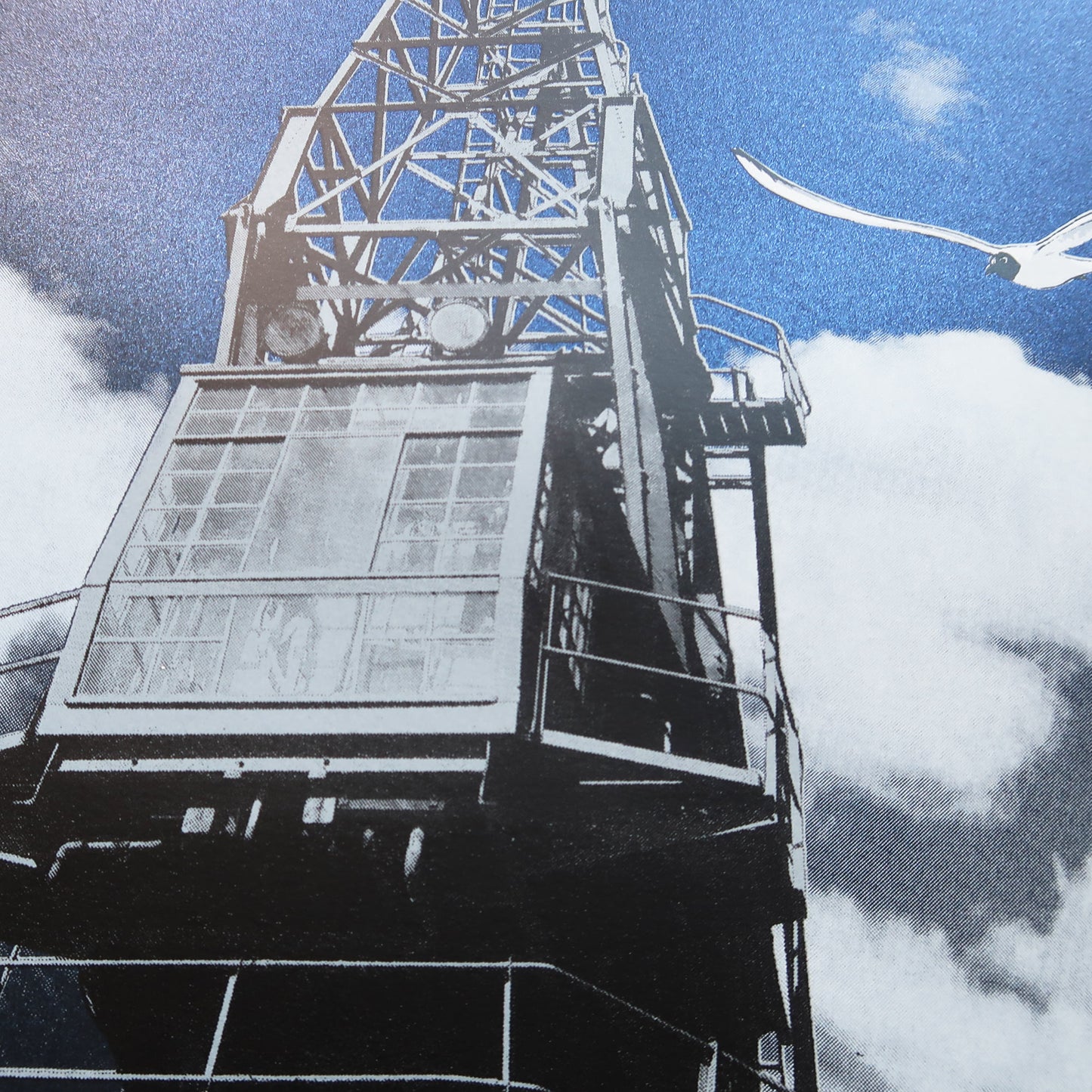 Harbour Gulls Metallic Blue Print
