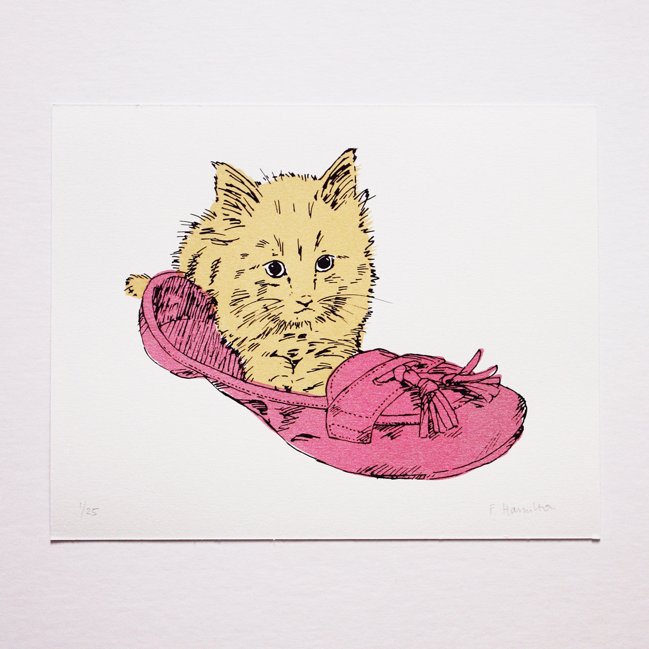 Kitten in Shoe print by Fiona Hamilton