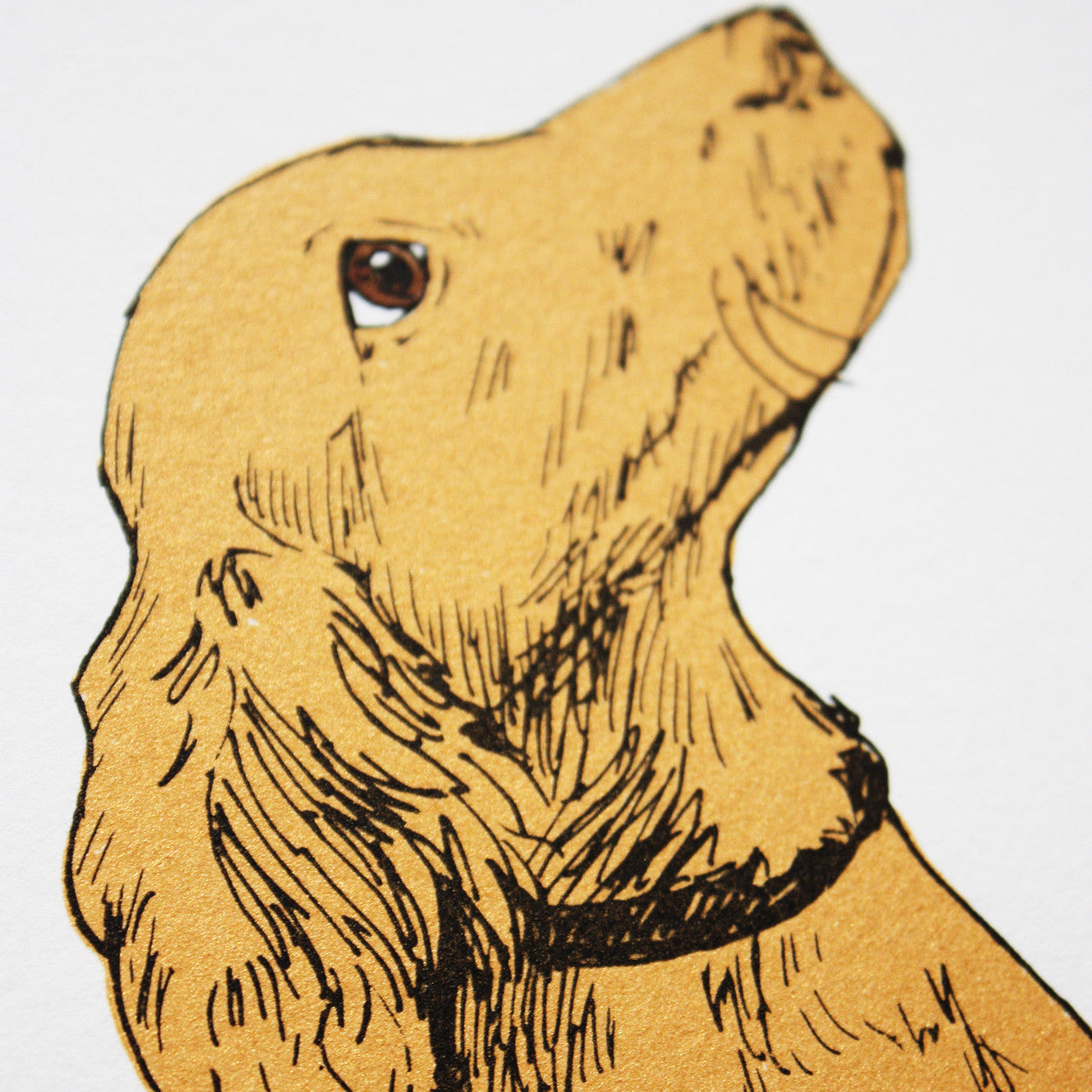 Golden Puppy print by Fiona Hamilton