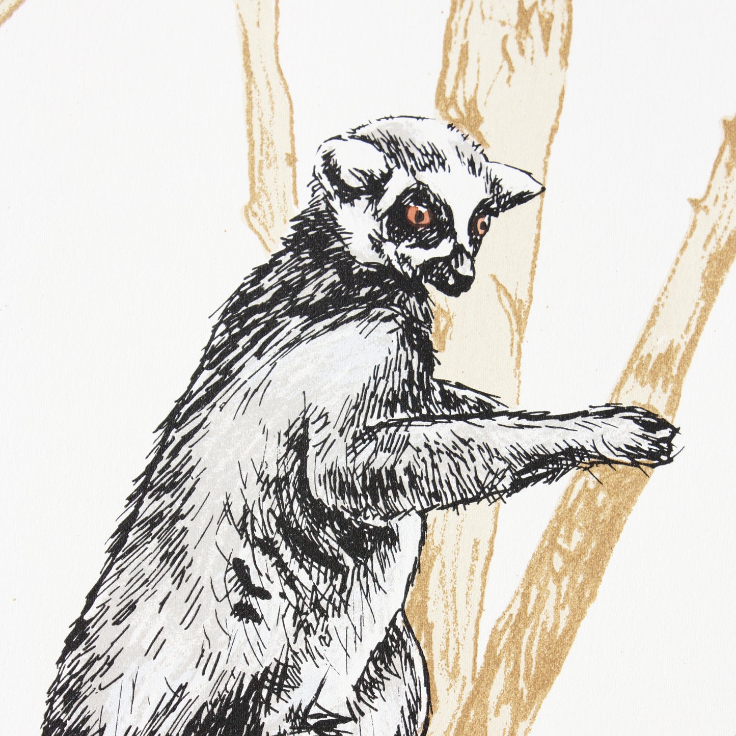Ring tailed lemur screen print by Fiona Hamilton.