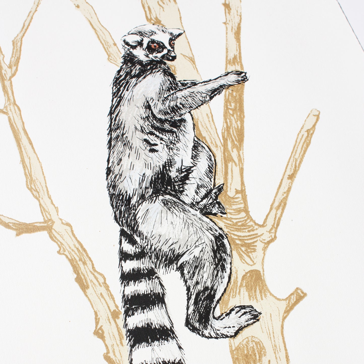 Ring tailed lemur screen print by Fiona Hamilton.