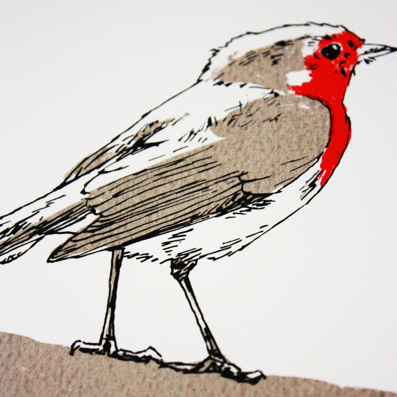 Robin print by Fiona Hamilton