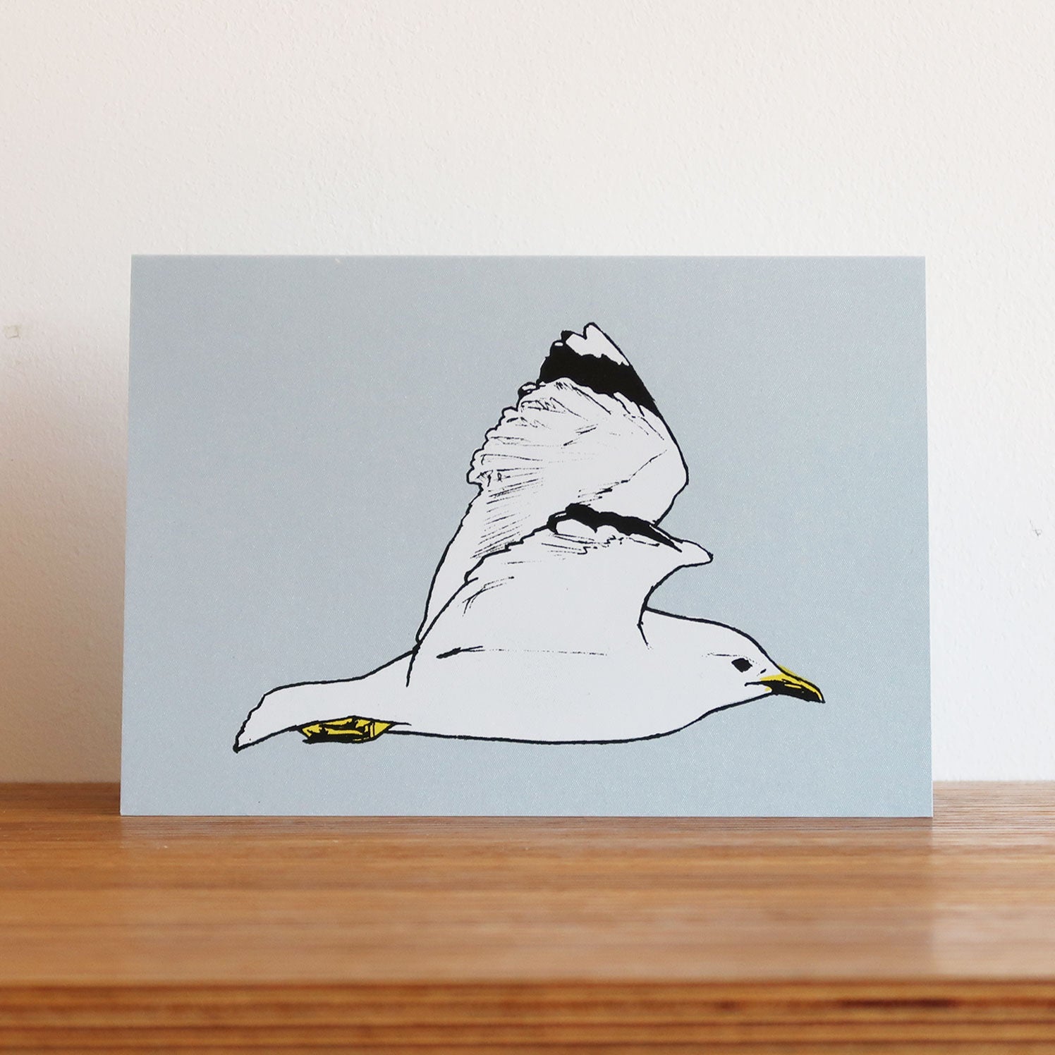 Seagull in flight greeting card by Fiona Hamilton.