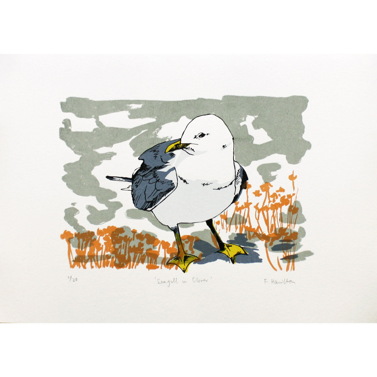 Seagull in Clover print by Fiona Hamilton