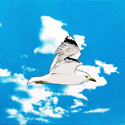 Seagull in Flight screenprint by Fiona Hamilton.