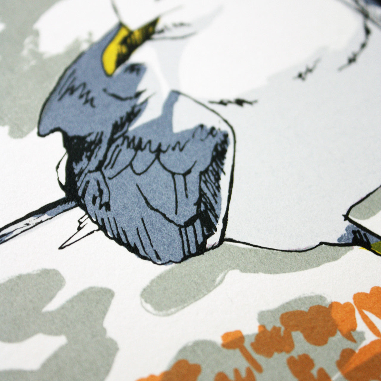 Seagull in Clover print by Fiona Hamilton