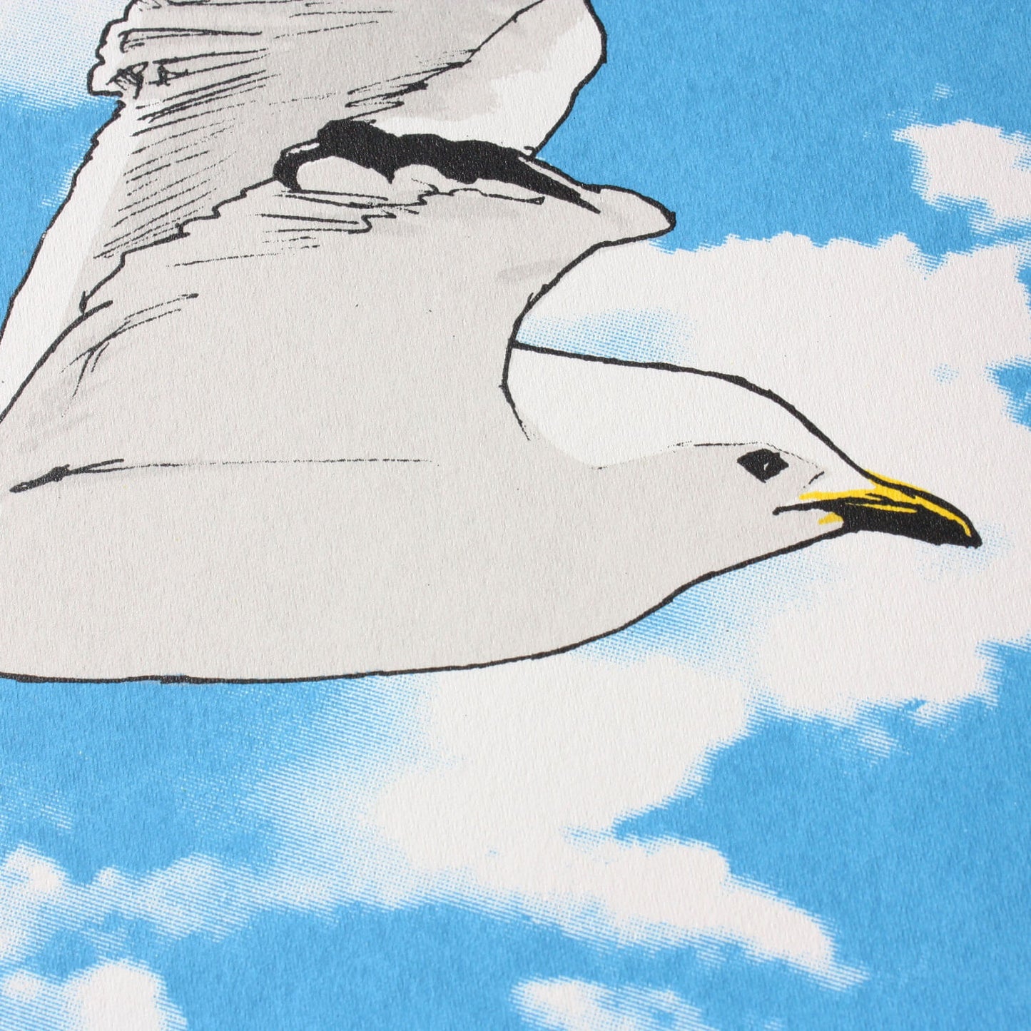 Seagull in Flight screenprint by Fiona Hamilton.