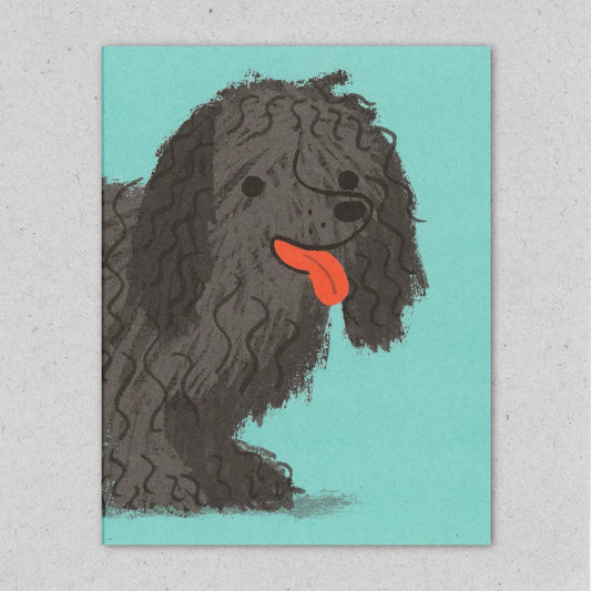 Shaggy dog greeting card by Lisa Jones Studio.