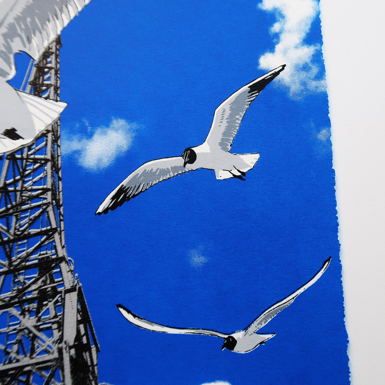 Harbour Gulls silkscreen print by Fiona Hamilton featuring Bristol cranes and seagulls.