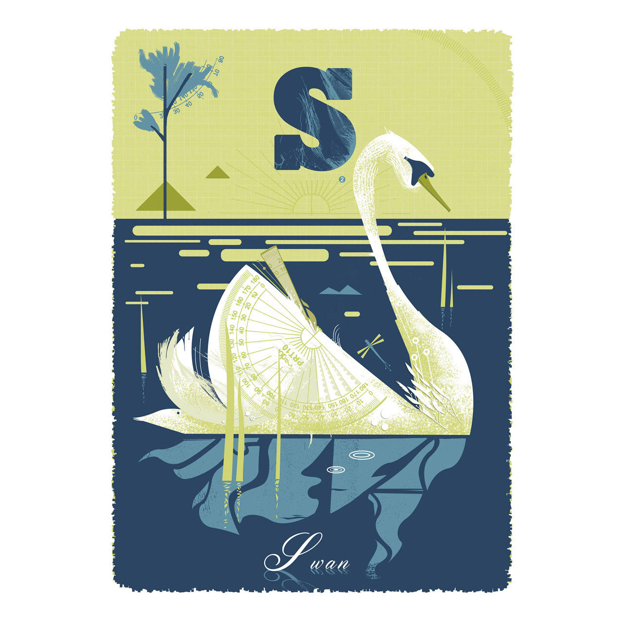 Swan print by Graham Carter.