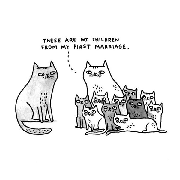 Gemma Correll image of cats and kittens