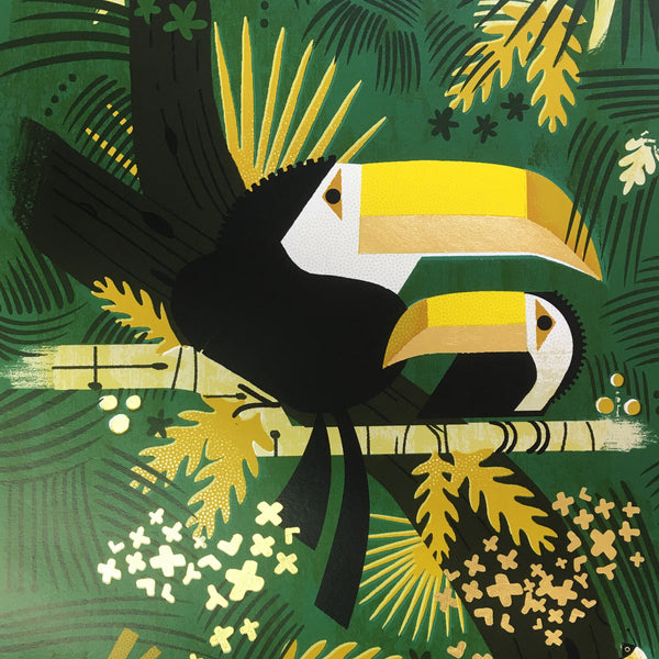 Two Toucans screen print by Graham Carter