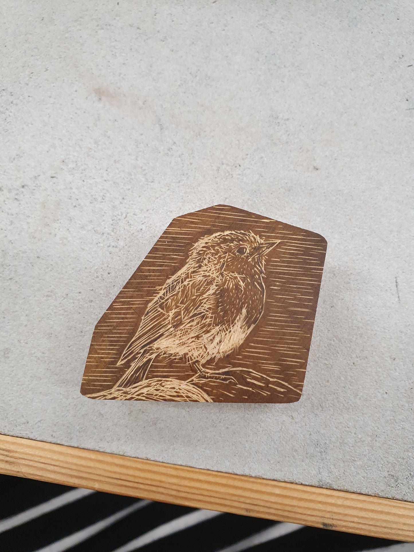 Robin Print