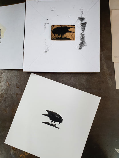 Pecking Jackdaw Print