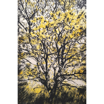 Golden Oak drypoint etching and lithographic print with chine colle by contemporary artist and printmaker, Fiona Hamilton. Depicting a late autumn, early winter oak tree with bright yellow golden leaves.