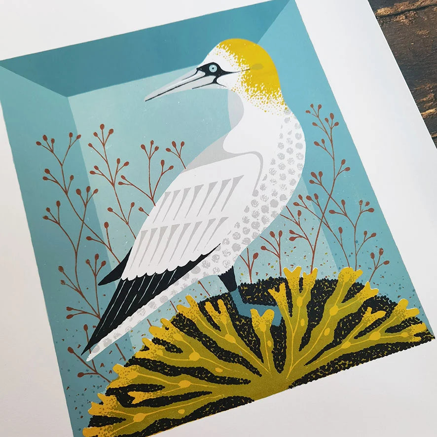 Close up of a screen print of an illustration of a taxidermy gannet by contemporary printmaker and artist Tom Frost in a mid-century style.