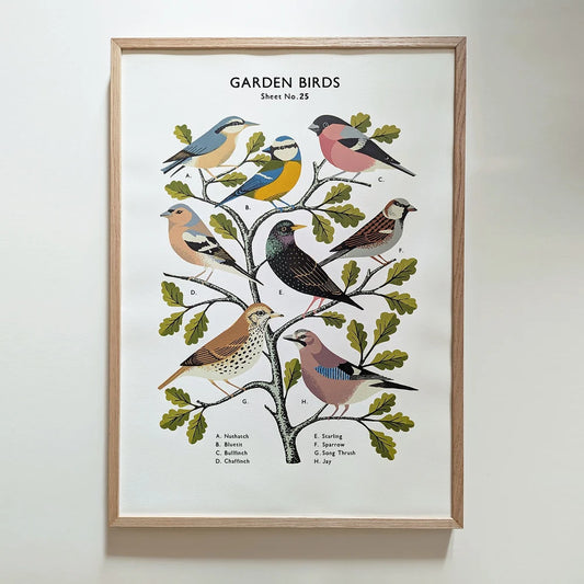 Framed screen printed artwork of garden birds on a branch with leaves by contemporary printmaker Tom Frost.