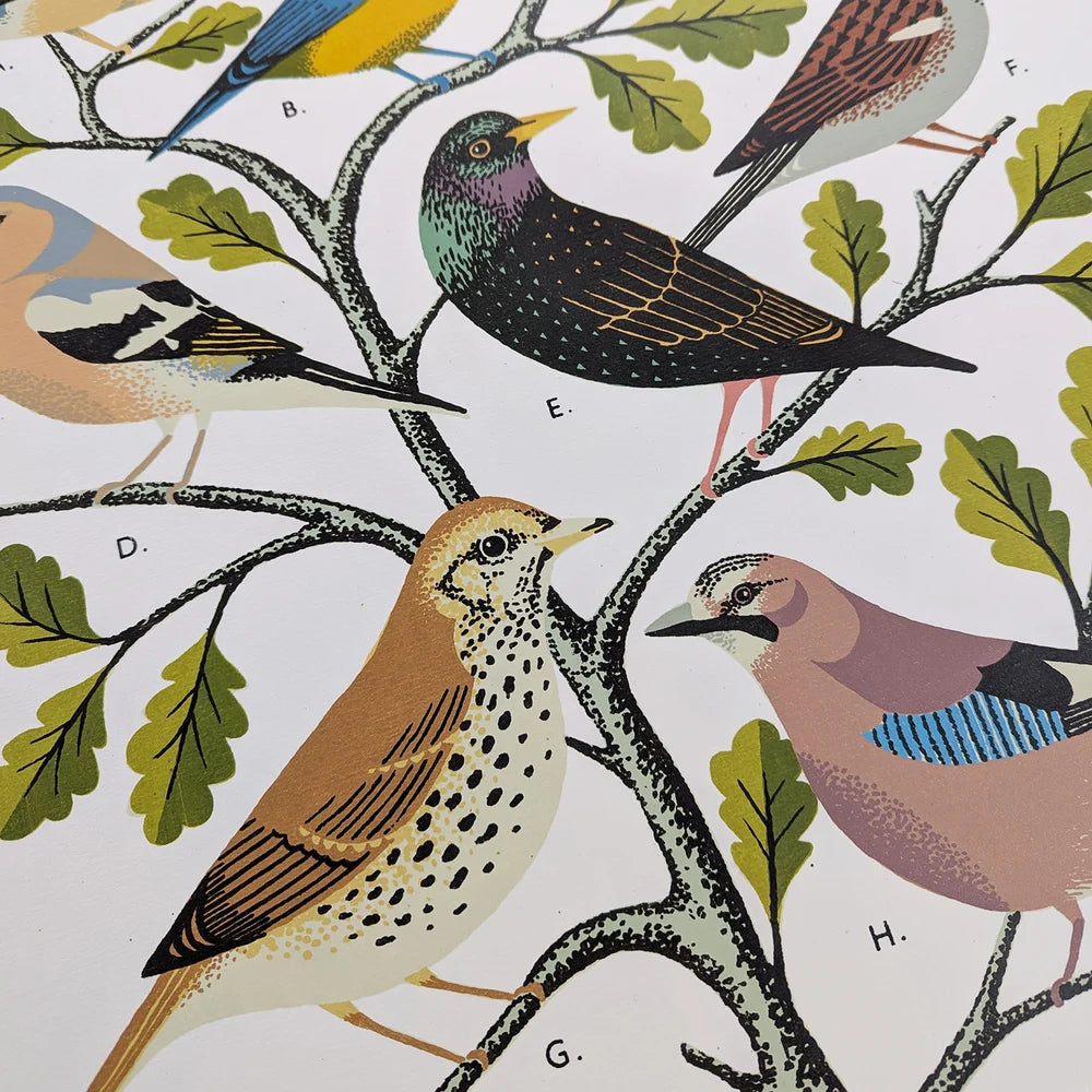 Detail from screen printed artwork of garden birds on a branch with leaves by contemporary printmaker Tom Frost.