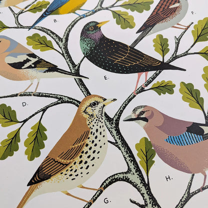 Detail from screen printed artwork of garden birds on a branch with leaves by contemporary printmaker Tom Frost.
