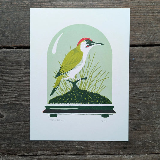 Screen printed illustration of a green woodpecker in a glass dome in a mid-century style by contemporary printmaker Tom Frost.