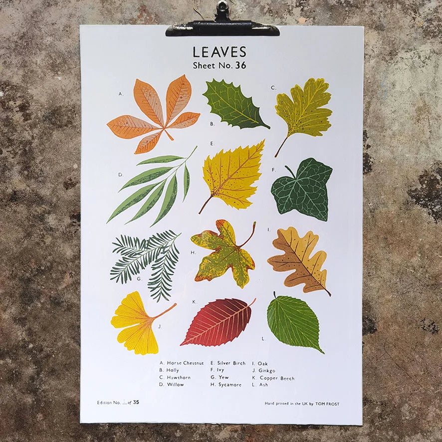Screen printed art print of Leaves illustrations on a textured wall by contemporary printmaker and artist, Tom Frost.