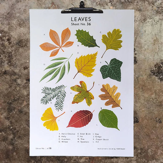 Screen printed art print of Leaves illustrations on a textured wall by contemporary printmaker and artist, Tom Frost.