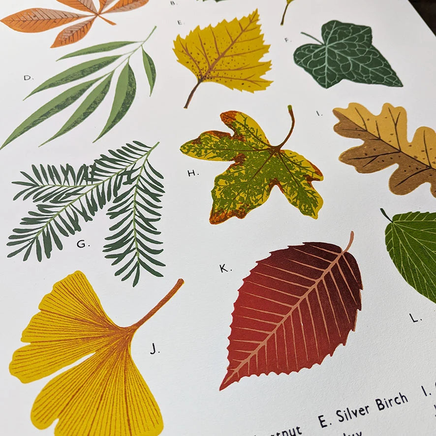 Detail of screen printed art print of Leaves illustrations on a textured wall by contemporary printmaker and artist, Tom Frost.