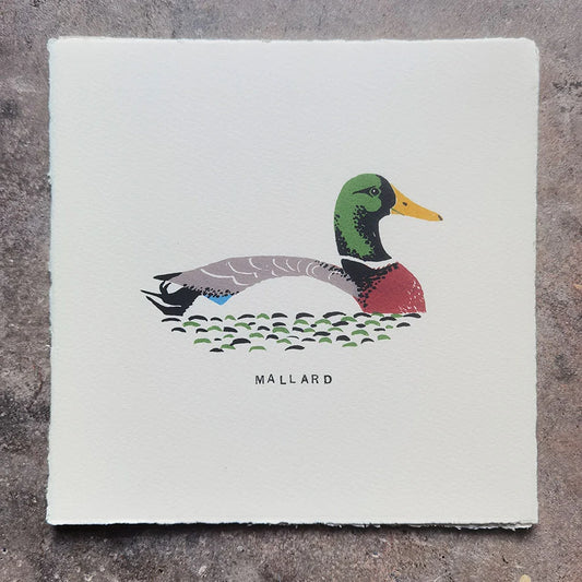 Original art print in a mis-century style of a mallard duck illustration on water screen printed on somerset paper by contemporary artist and printmaker, Tom Frost.